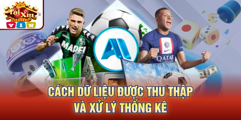 Cách dữ liệu được thu thập và xử lý thống kê